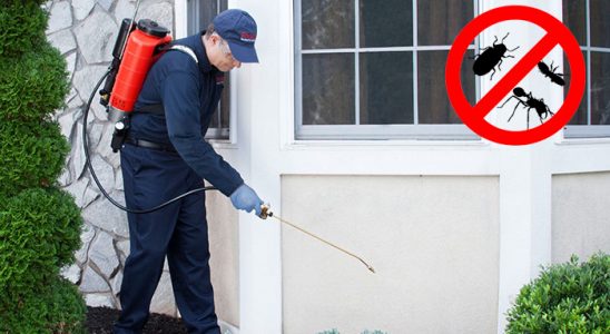 Beytüşşebap Hamam Böceği İlaçlama böcek ilaçlama ve haşere kontrolü — ilaclama-tr.com